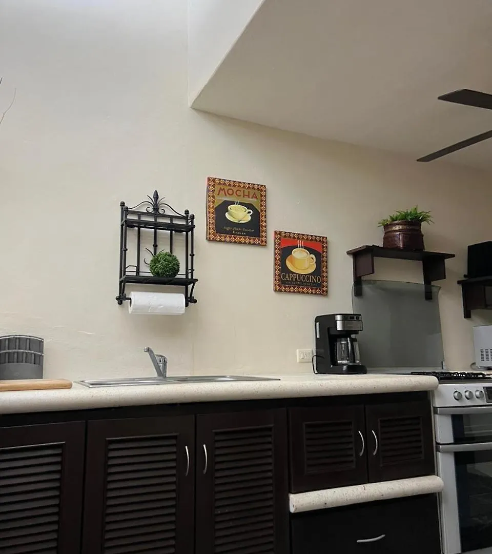 Luxury Village On The 5Th Avenue With Private Rooftop Playa del Carmen Villa